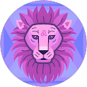 Mini Konnakkottil profile picture